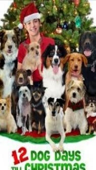 12 Dog Days Till Christmas (2014) Hindi Dubbed