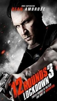 12 Rounds 3 Lockdown (2015) Hindi Dubbed
