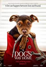 A Dogs Way Home 2019 Hindi Dubbed HdRip Hollywood Dubbed movie download