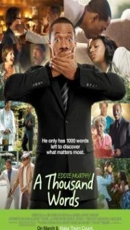 A Thousand Words (2012) Dual Audio Hindi Dubbed