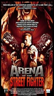 Arena of the Street Fighter (2012) Hindi Dubbed
