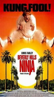 Beverly Hills Ninja (1997) Hindi Dubbed