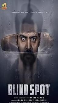 Blind Spot (2025) Hindi Dubbed Movie