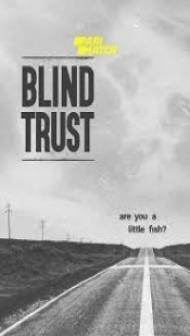 Blind Trust (2022) Hindi Dubbed