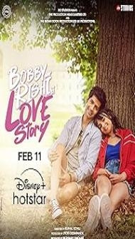 Bobby Aur Rishi Ki Love Story (2025) Hindi Movie