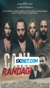 Cani randagi (2023) Hindi Dubbed