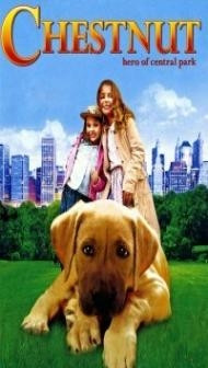 Chestnut Hero of Central Park (2004) Hindi Dubbed