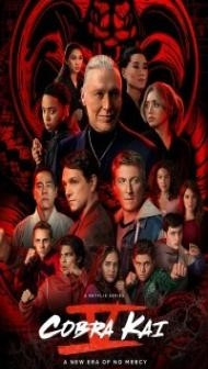 Cobra Kai (2022) Season 5 Web Series
