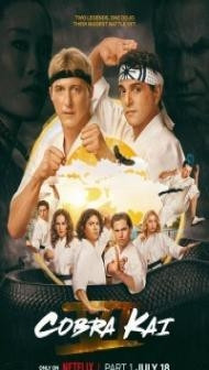Cobra Kai (2024) Season 6 Hindi Web Series