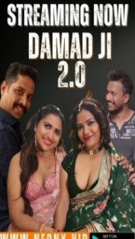 Damad Ji 2 0 (2023) NeonX Original