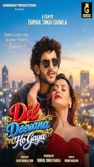 Dil Deewana Ho Gaya (2026) Hindi Movie