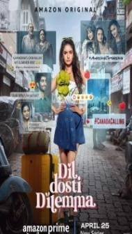 Dil Dosti Dilemma (2024) Season 1 Hindi Web Series