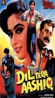 Dil Tera Aashiq (1993) Hindi Movie