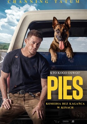 Dog 2022 Dubbed in Hindi Hdrip Hollywood Dubbed movie download