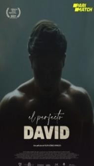 El perfecto David (2021) Hindi Dubbed
