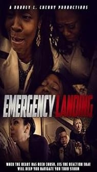 Emergency Landing (2016) Hindi Dubbed