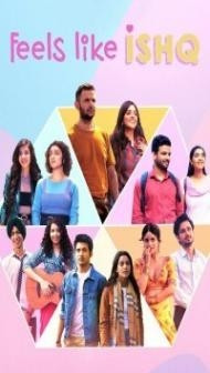 Feels Like Ishq (2021) Web Series