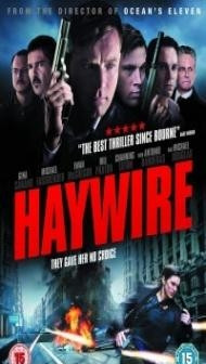 Haywire (2011) Dual Audio Hindi Dubbed