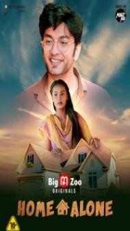Home Alone (2021) BigMovieZoo Original