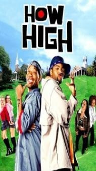 How High (2001) Hindi Dubbed