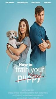 How To Train Your Husband (2017) Hindi Dubbed