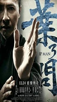 Ip Man 3 (2015) Hindi Dubbed
