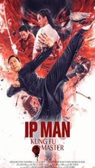 Ip Man Kung Fu Master (2019) Hindi Dubbed