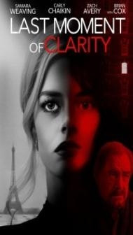 Last Moment of Clarity (2020) Hindi Dubbed