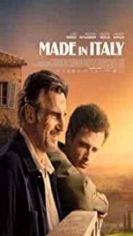Made in Italy (2020) English Movie