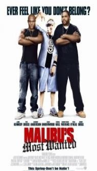 Malibus Most Wanted (2003) Hindi Dubbed