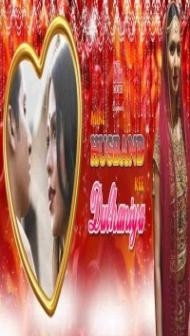 Mere Husband Kee Dulhaniya (2020) Web Series