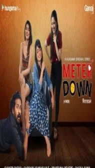 Meter Down (2021) Web Series