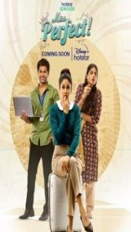 Miss Perfect (2023) Season 1 Hindi Web Series
