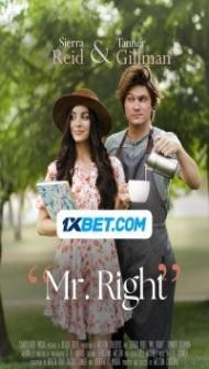 Mr Right (2024) Hindi Dubbed