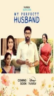 My Perfectt Husband (2024) Season 1 Hindi WebSeries