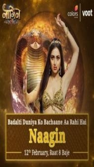 Naagin - Season 6 (2022) TV Show
