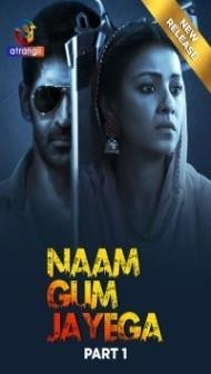 Naam Gum Jayega (2024) Season 1 Hindi Web Series
