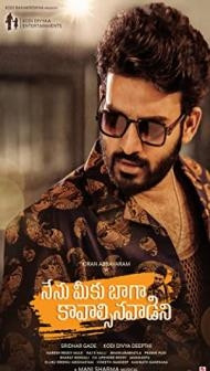 Nenu Meeku Baaga Kavalsinavaadini (2022) South Indian Hindi Dubbed Movie