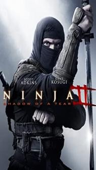 Ninja 2 Shadow of a Tear (2013) Hindi Dubbed