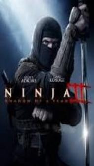 Ninja Shadow of a Tear (2013) Dual Audio Hindi Dubbed