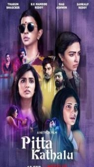 Pitta Kathalu (2021) Web Series