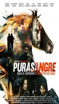 Purasangre (2016) Hindi Dubbed
