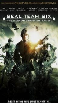 Seal Team Six The Raid on Osama Bin Laden (2012) Dual Audio Hindi Dubbed