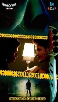 Section 307 (2020) Hotshot Original