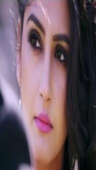 Shamshir Power (2018) South Indian Hindi Dubbed Movie