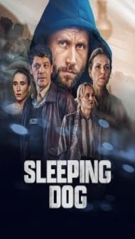 Sleeping Dog (2023) Web Series