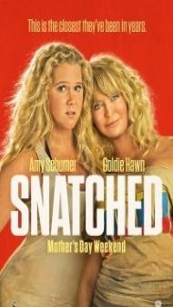 Snatched (2017) Dual Audio Hindi Dubbed