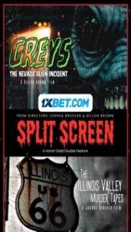 Split Screen (2024) Hindi Dubbed