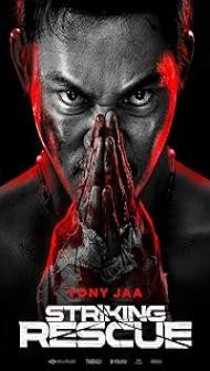 Striking Rescue (2024) Hindi Dubbed Movie