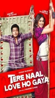 Tere Naal Love Ho Gaya (2012) Hindi Movie
